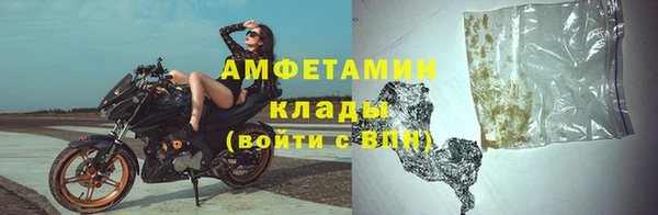 стаф Аркадак
