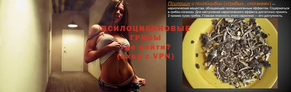 стаф Аркадак