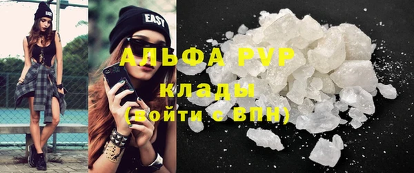 стаф Аркадак