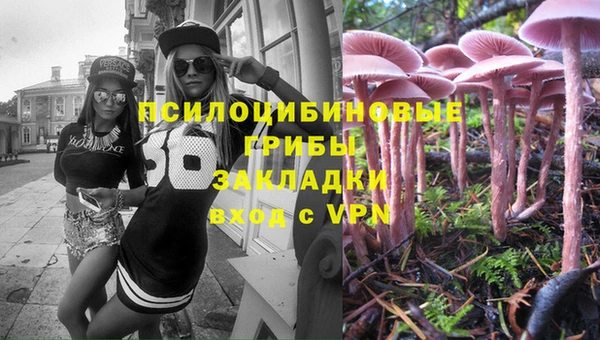 ALPHA-PVP Армянск