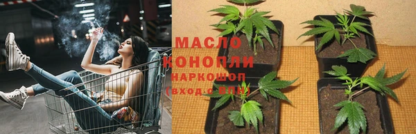 стаф Аркадак