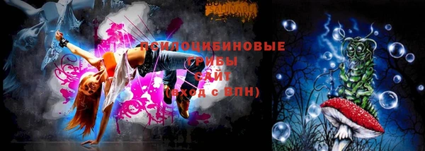 стаф Аркадак