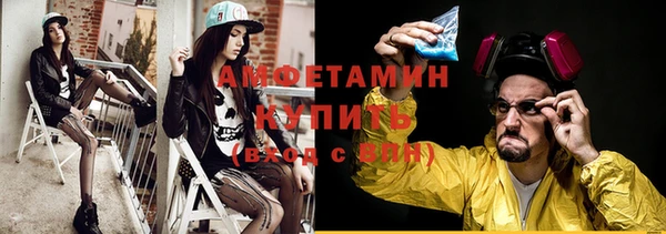 стаф Аркадак